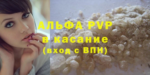 прущие грибы Балабаново