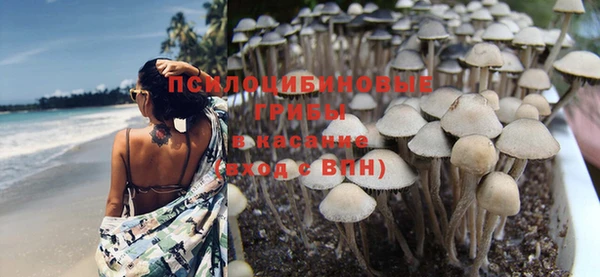 прущие грибы Балабаново