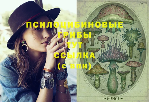 ешки Баксан