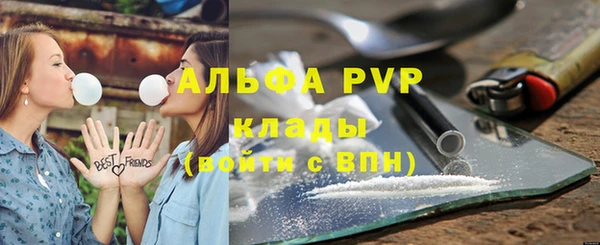 spice Белокуриха