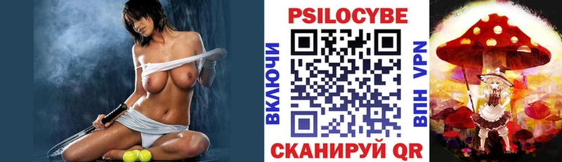 мега   Чехов  Псилоцибиновые грибы GOLDEN TEACHER 